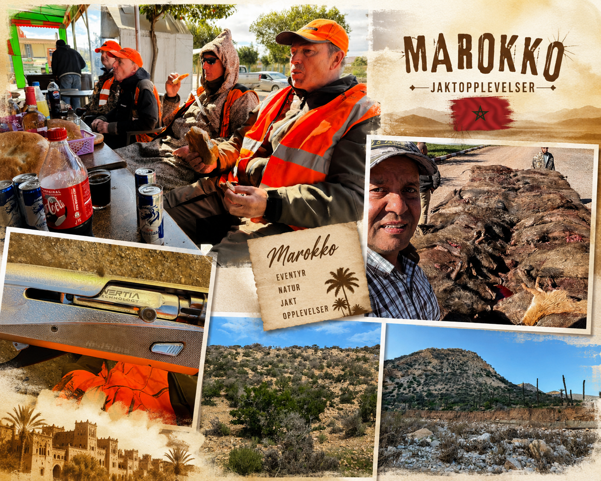 Marokko – Berber-Wildschwein – bilde 4 av 16