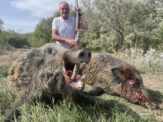 Marokko – Berber-Wildschwein – bilde 1 av 16
