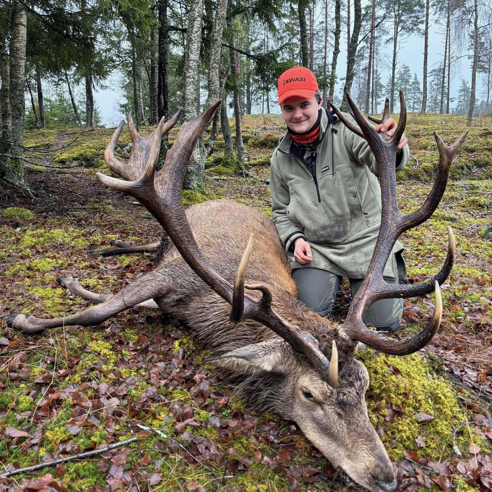 Jeger i grønn jakke med oransje caps poserer med felt kronhjort i skogen
